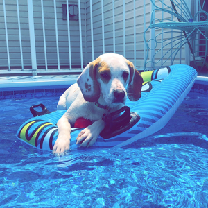 Team Page: Mosley's Crew